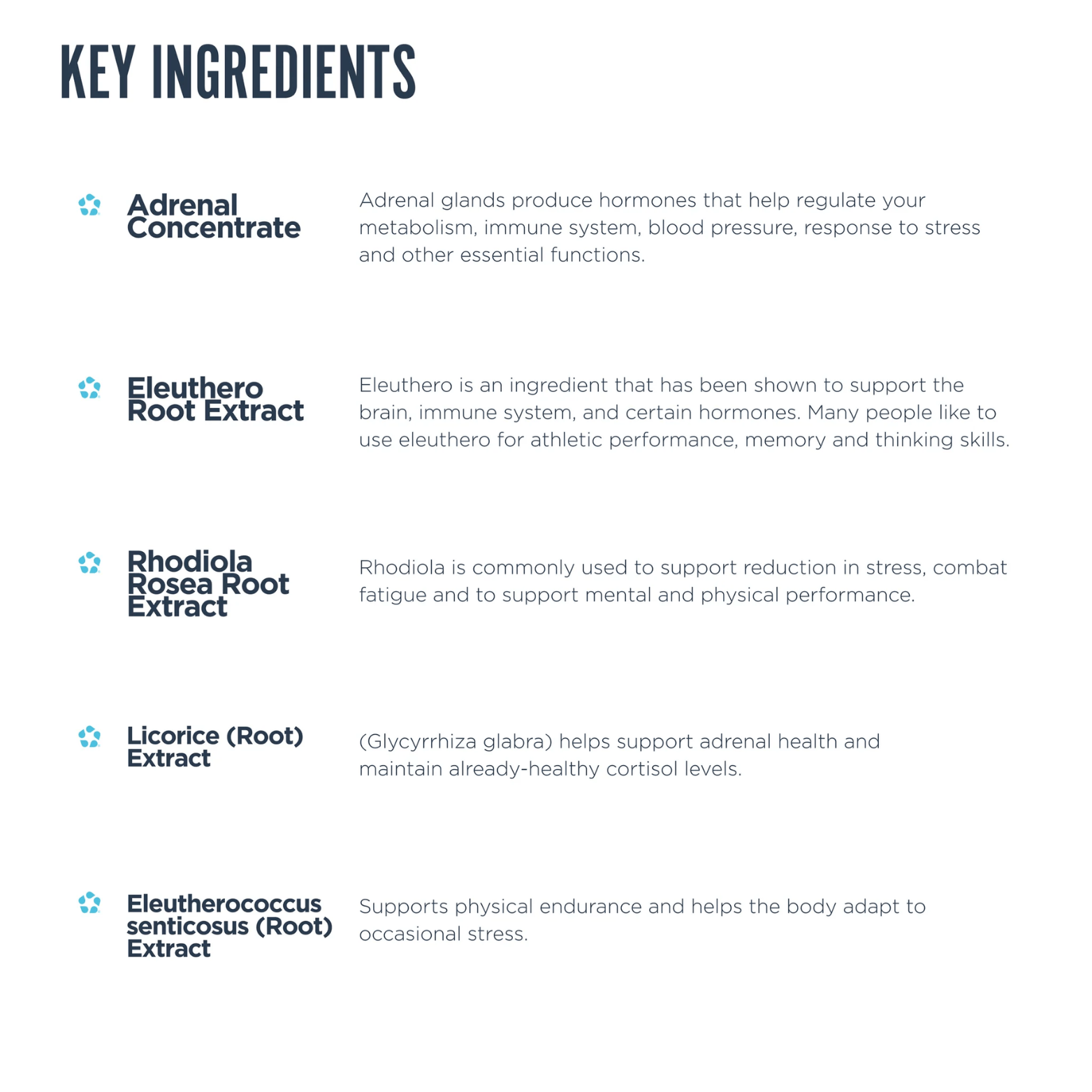 AdrenalCORE - 30 Serving - Competitive Edge Nutrition